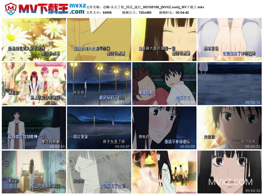 边晰-失去了你_国语_流行_MD105158